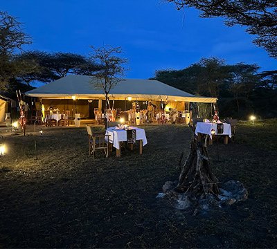 Africa Safari Serengeti Kusini