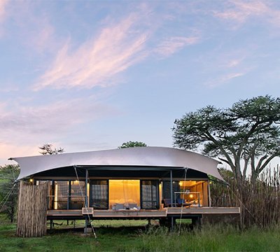 Lemala nanyukie central serengeti
