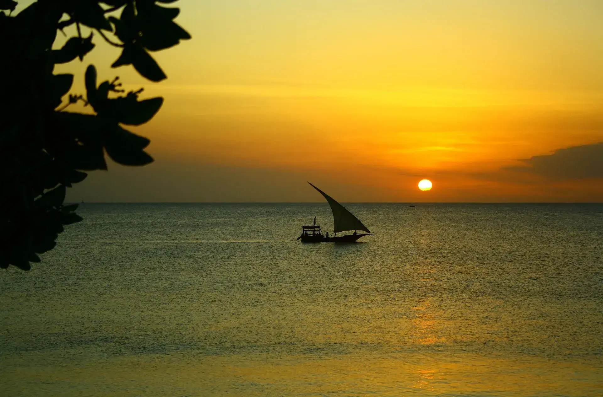 Sunset Show Cruise Zanzibar